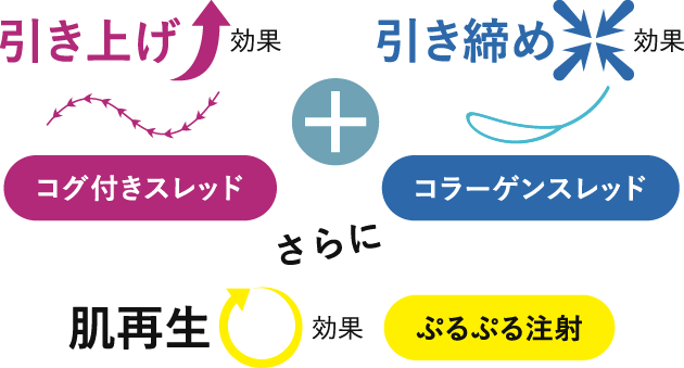 ぷるぷるコラーゲンスレッドとは