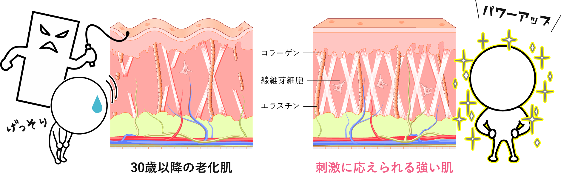 肌の底力UPで刺激に応えられる強い肌