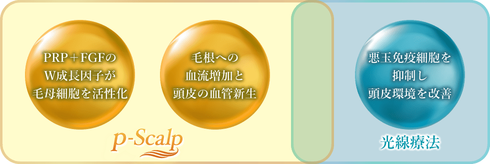 当院の治療について