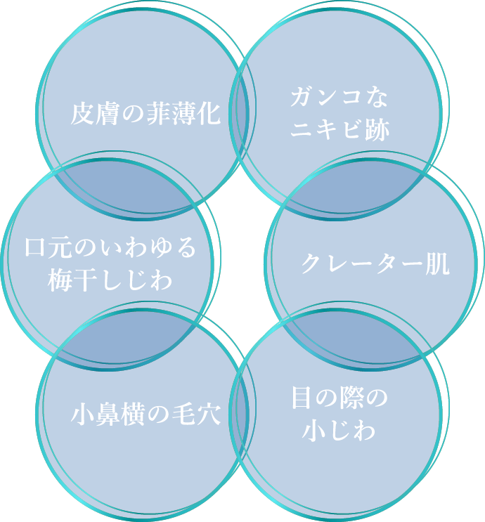 皮膚の菲薄化 ガンコなニキビ跡 口元のいわゆる梅干しじわ クレーター肌 小鼻横の毛穴 目の際の小じわ